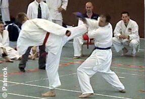 Matthias Lux mit Ura Mawashi Geri