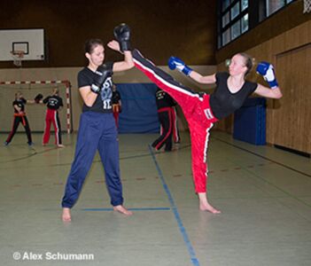 Roundhousekick