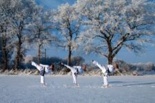 Januar 2011