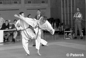 Ura Mawashi Geri von Matthias Lux (r.)