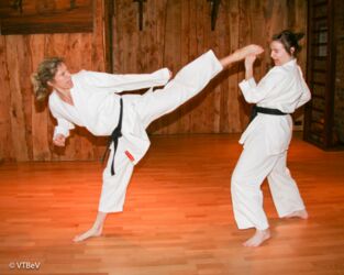 Jiyu-Ippon-Kumite