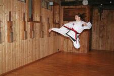 Januar 2009