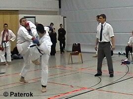 Alex Hartmann mit Mawashi Geri