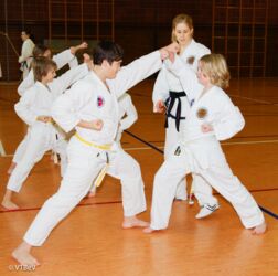Sambo Taeryon