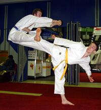 Yop Cha Tulki von Martin Hampel (r.)