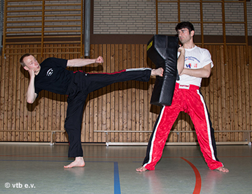 Roundhouse Kick